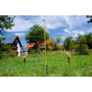                                                    Elektronetze                                                