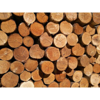 Rundholz Kastanie Ø 8 - 10 cm 250 cm