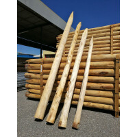 Kastanienpfähle rund Ø 4 - 6 cm 200 cm