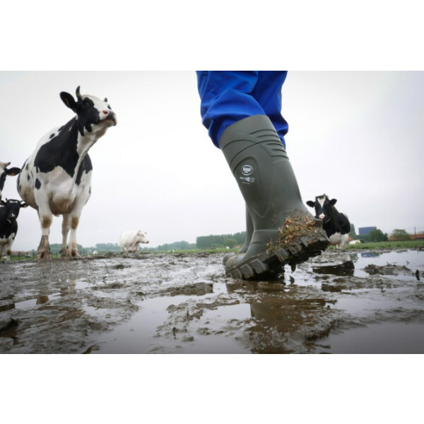 Bekina Sicherheitsstiefel S5 StepliteX® 43