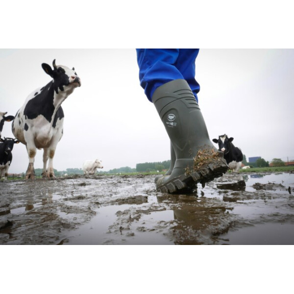 Bekina Sicherheitsstiefel S5 StepliteX® 44
