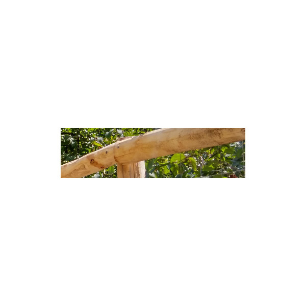Halbrundlatte Akazie geschliffen Ø 10 - 12 cm, 250 cm
