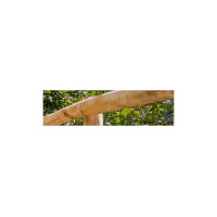 Halbrundlatte Akazie geschliffen Ø 10 - 12 cm, 250 cm